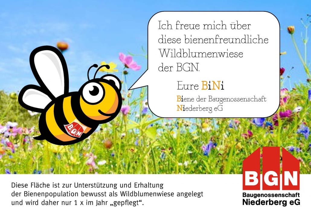 BiNi_Wildblumenwiese
