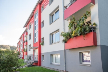 BGN – 1-Zimmer-Wohnung in ruhiger Lage, 42555 Velbert, Souterrainwohnung